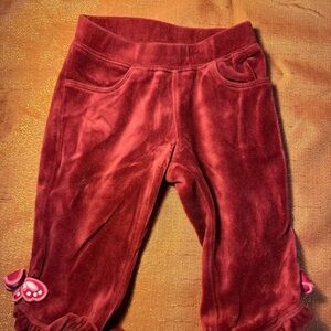 Gymboree Infant Velvet Pants